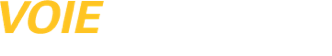 voie_express_logo