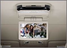 OVERHEAD DVD SYSTEM