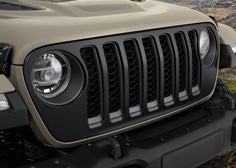 SATIN BLACK GRILLE