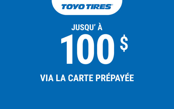 Sélectionnez des pneus pour camionnettes et voitures
particulières