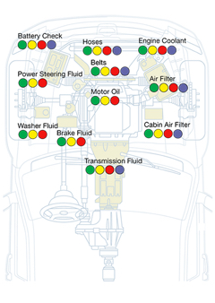 Vehicle Inspection