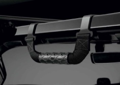 Front Grab Handles