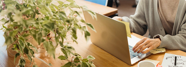 Costo de titularidad y mantenimiento de un EV